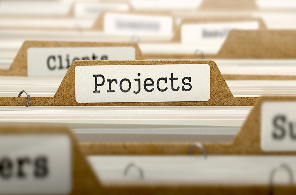 Project Portfolio Management and Optimisation